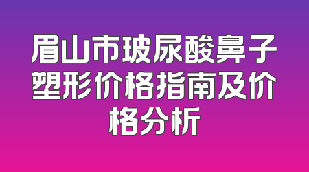 眉山市玻尿酸鼻子塑形价格指南及价格分析