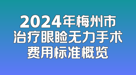 2024年梅州市治疗眼睑无力手术费用标准概览