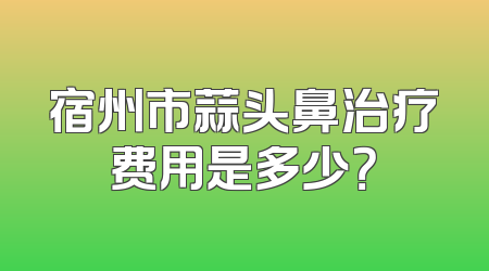 宿州市蒜头鼻治疗费用是多少？