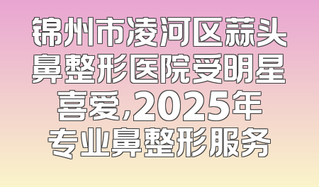 锦州市凌河区蒜头鼻整形医院受明星喜爱，2025年专业鼻整形服务