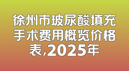 徐州市玻尿酸填充手术费用概览价格表，2025年