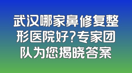 武汉哪家鼻修复整形医院好？专家团队为您揭晓答案