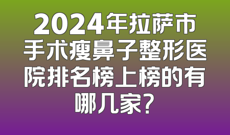 2024年拉萨市手术瘦鼻子整形医院排名榜上榜的有哪几家？