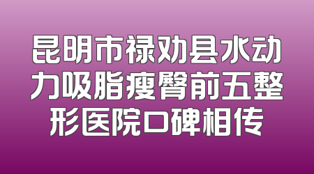昆明市禄劝县水动力吸脂瘦臀前五整形医院口碑相传