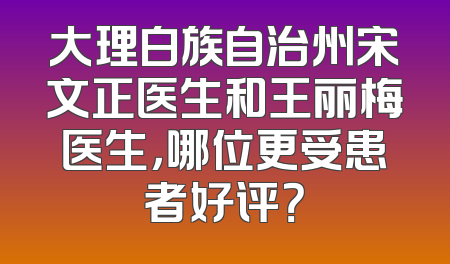 大理白族自治州宋文正医生和王丽梅医生，哪位更受患者好评？