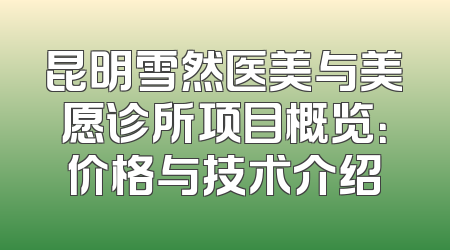 昆明雪然医美与美愿诊所项目概览：价格与技术介绍