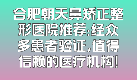 合肥朝天鼻矫正整形医院推荐：经众多患者验证，值得信赖的医疗机构！