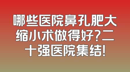 哪些医院鼻孔肥大缩小术做得好？二十强医院集结！
