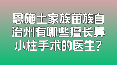 恩施土家族苗族自治州有哪些擅长鼻小柱手术的医生？