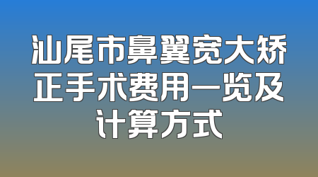 汕尾市鼻翼宽大矫正手术费用一览及计算方式