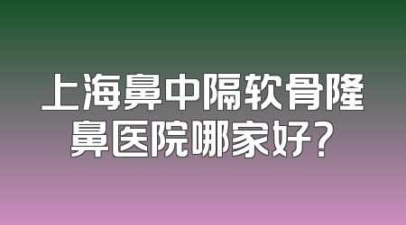 上海鼻中隔软骨隆鼻医院哪家好？