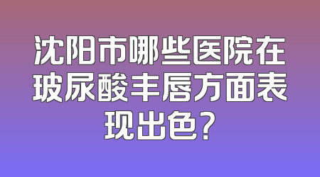 沈阳市哪些医院在玻尿酸丰唇方面表现出色？