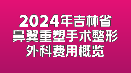 2024年吉林省鼻翼重塑手术整形外科费用概览