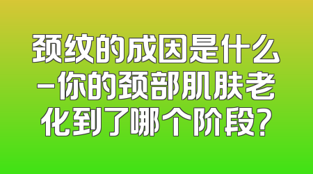 颈纹的成因是什么-你的颈部肌肤老化到了哪个阶段？