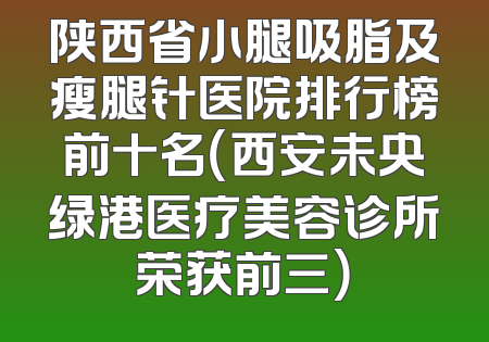 陕西省小腿吸脂及瘦腿针医院排行榜前十名（西安未央绿港医疗美容诊所荣获前三）