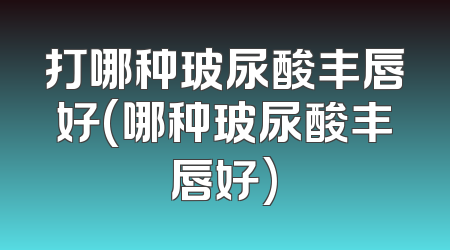 打哪种玻尿酸丰唇好(哪种玻尿酸丰唇好)