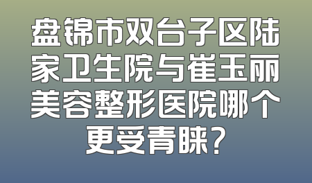 盘锦市双台子区陆家卫生院与崔玉丽美容整形医院哪个更受青睐？