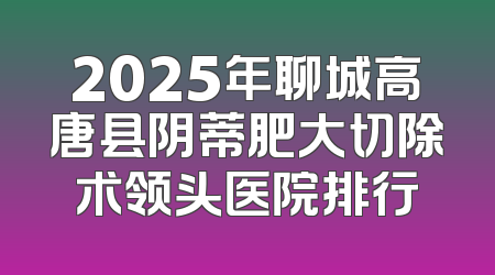 2025年聊城高唐县阴蒂肥大切除术领头医院排行