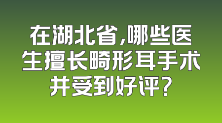 在湖北省，哪些医生擅长畸形耳手术并受到好评？