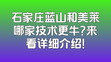 石家庄蓝山和美莱哪家技术更牛？来看详细介绍！