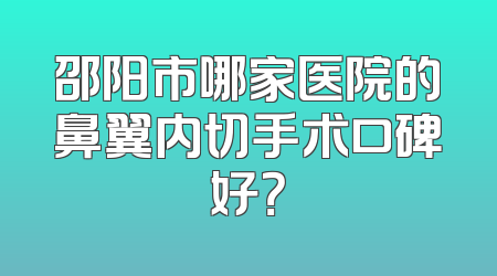 邵阳市哪家医院的鼻翼内切手术口碑好？
