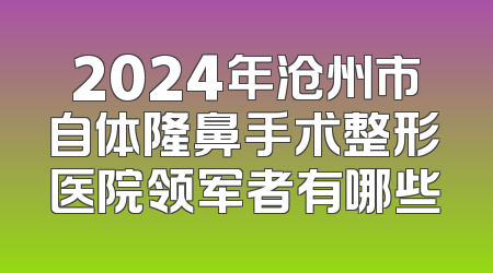 2024年沧州市自体隆鼻手术整形医院领军者有哪些