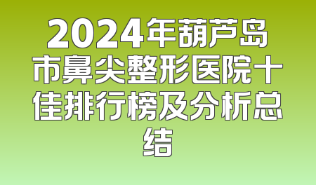 2024年葫芦岛市鼻尖整形医院十佳排行榜及分析总结
