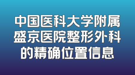 中国医科大学附属盛京医院整形外科的精确位置信息