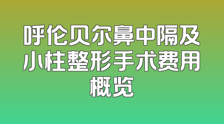 呼伦贝尔鼻中隔及小柱整形手术费用概览