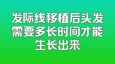 发际线移植后头发需要多长时间才能生长出来