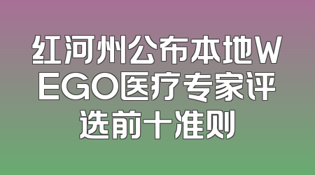 红河州公布本地WEGO医疗专家评选前十准则