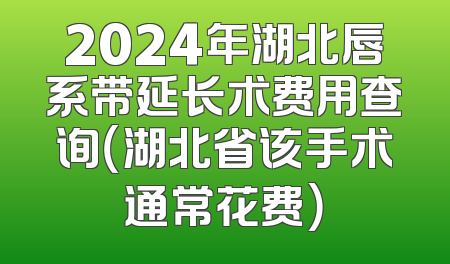 2024年湖北唇系带延长术费用查询（湖北省该手术通常花费）