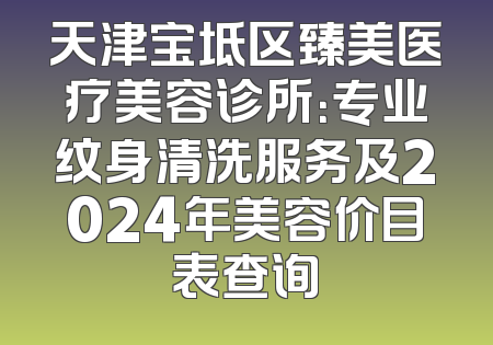 天津宝坻区臻美医疗美容诊所：专业纹身清洗服务及2024年美容价目表查询