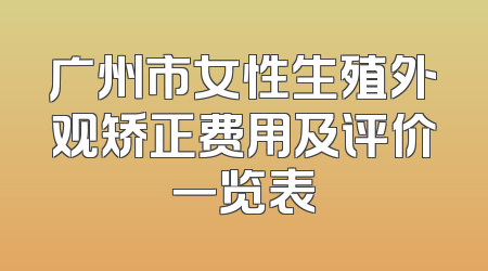 广州市女性生殖外观矫正费用及评价一览表
