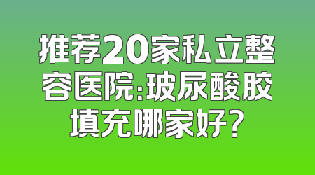 推荐20家私立整容医院：玻尿酸胶填充哪家好？