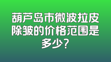 葫芦岛市微波拉皮除皱的价格范围是多少？