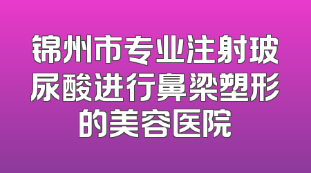 锦州市专业注射玻尿酸进行鼻梁塑形的美容医院