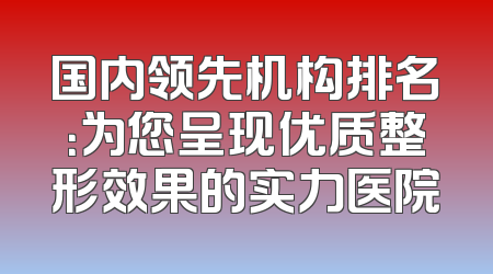 国内领先机构排名：为您呈现优质整形效果的实力医院