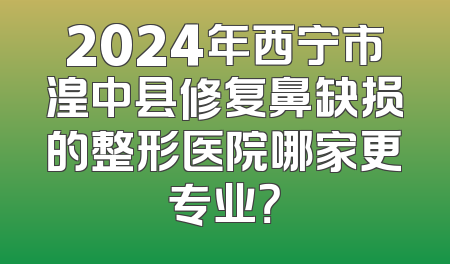 2024年西宁市湟中县修复鼻缺损的整形医院哪家更专业？