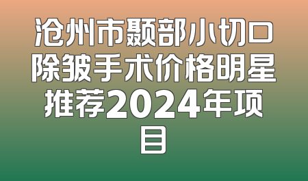 沧州市颞部小切口除皱手术价格明星推荐2024年项目