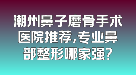 潮州鼻子磨骨手术医院推荐，专业鼻部整形哪家强？