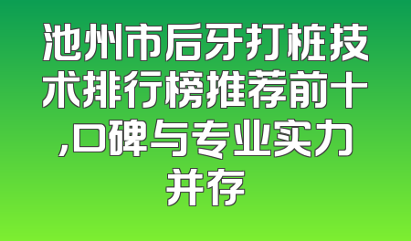 池州市后牙打桩技术排行榜推荐前十，口碑与专业实力并存