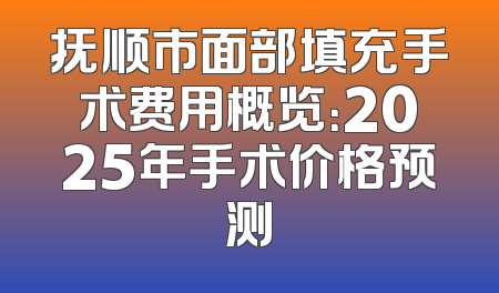 抚顺市面部填充手术费用概览：2025年手术价格预测