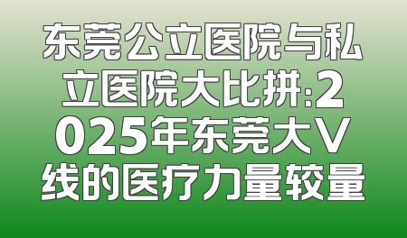 东莞公立医院与私立医院大比拼：2025年东莞大V线的医疗力量较量