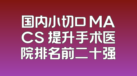 国内小切口 MACS 提升手术医院排名前二十强