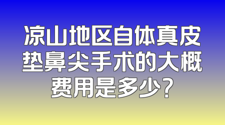 凉山地区自体真皮垫鼻尖手术的大概费用是多少？