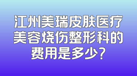 江州美瑞皮肤医疗美容烧伤整形科的费用是多少？