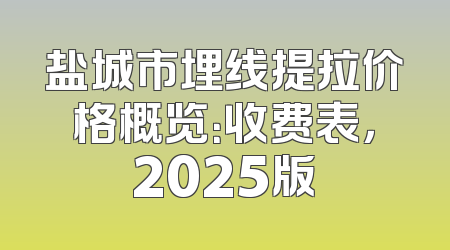 盐城市埋线提拉价格概览：收费表，2025版