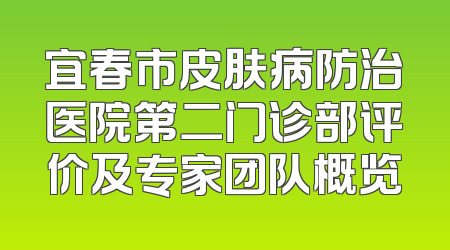 宜春市皮肤病防治医院第二门诊部评价及专家团队概览
