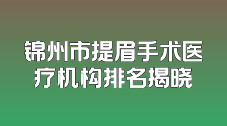 锦州市提眉手术医疗机构排名揭晓